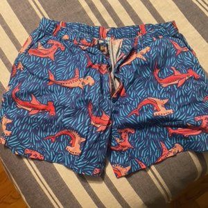 Chubbies XL Hammerhead sharks shotys